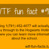 hogwarts hotline