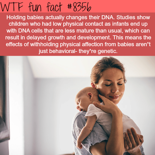 Holding babies can change their DNA - WTF fun facts