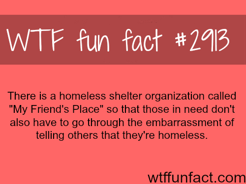 Homeless shelter “My friends place” -  WTF fun facts