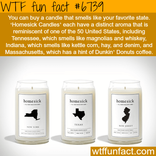 Homesick candles - WTF fun fact