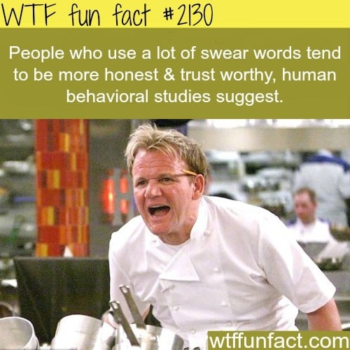 Honest people facts - WTF fun facts