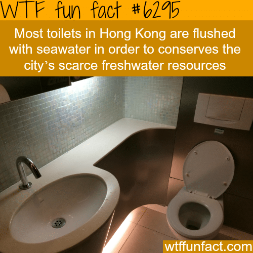 Hong Kong uses seawater to flush toilets - WTF fun facts