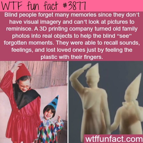 How 3D printing is helping the blind see forgotten moments - WTF fun facts