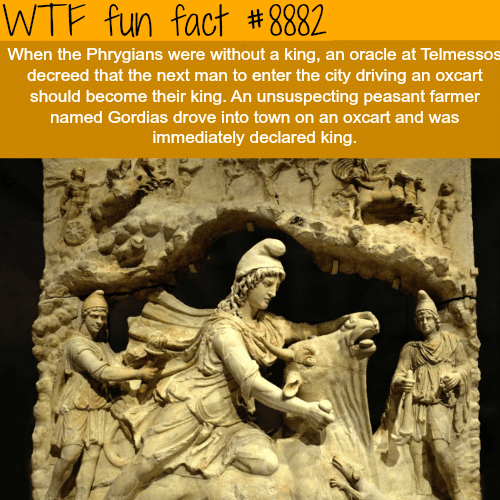 How a peasant became king - WTF fun facts