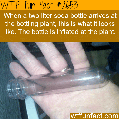 How a two liter soda bottle looks like before inflated - WTF fun facts