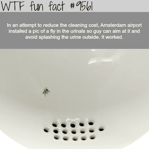 How Amsterdam Airport is reducing the cleaning cost- WTF fun fact