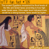how ancient egyptians measured taxes wtf fun