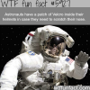 how astronauts scratch their nose in space wtf