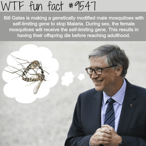 How Bill Gates is fighting Malaria - WTF fun fact