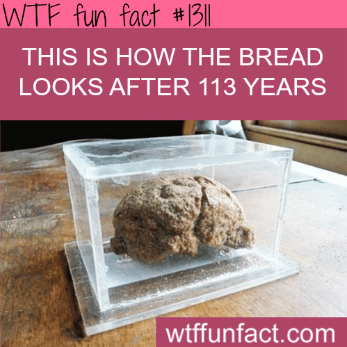 how bread looks after more than 100 year