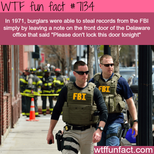 How burglars stole records from the FBI - WTF fun facts