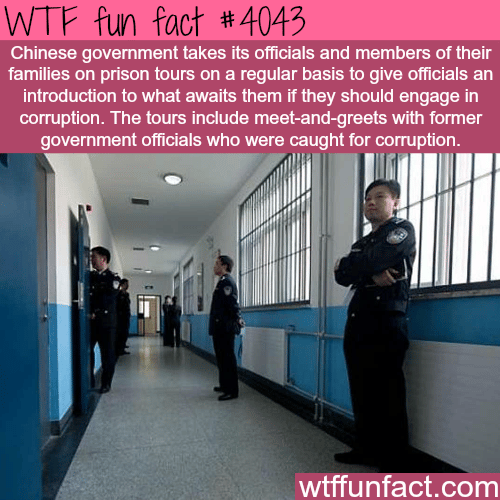 How China tries to fight government corruption - WTF fun facts