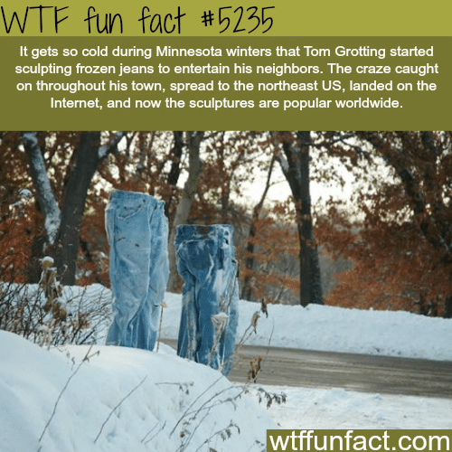 How cold is it in Minnesota - WTF fun facts