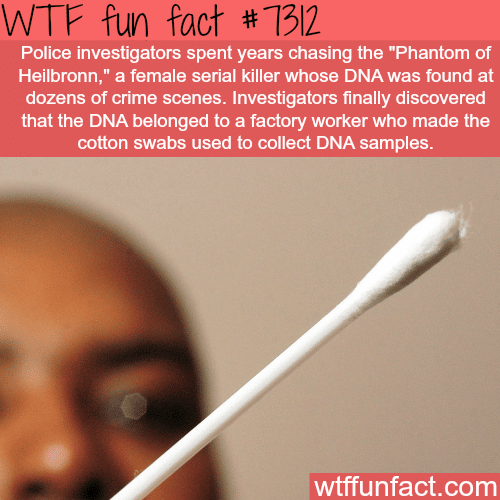 How DNA contamination caused the police to look for a phantom killer - WTF fun fact