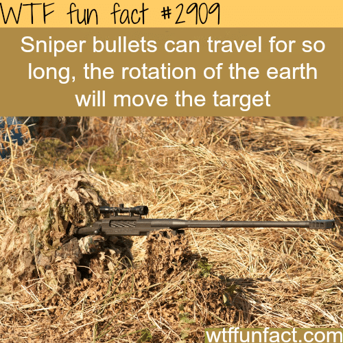 How far can a sniper bullet travel? -  WTF fun facts