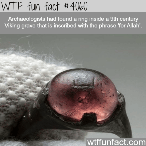 How far did the Vikings travel? - WTF fun facts