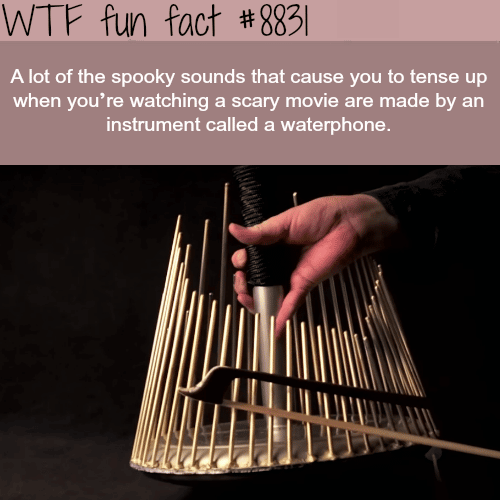 How horror movies make the spooky sounds - WTF fun facts 