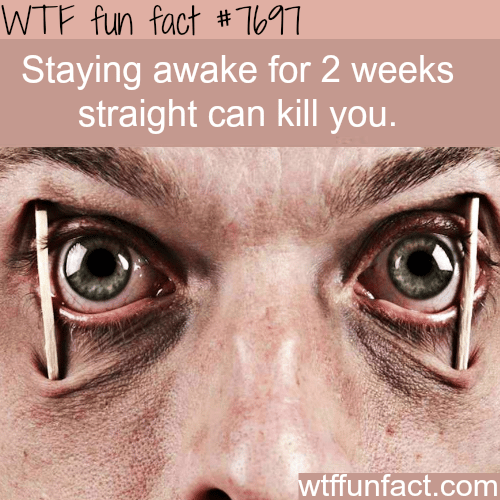 How long can you go without sleep - WTF FUN FACTS