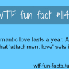 how long does romantic love last love fact