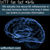 how long does the brain take to process infomation