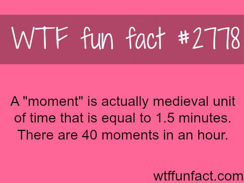 How long is a moment - WTF fun facts