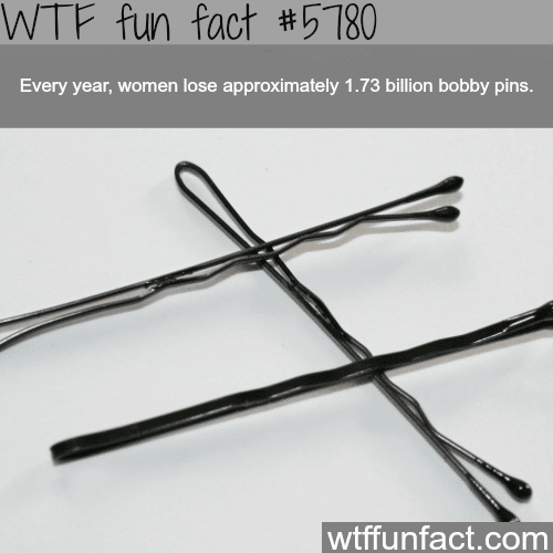 How many bobby pins are lost each year - WTF fun facts
