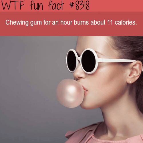 How many calories does chewing gum burn - WTF fun facts