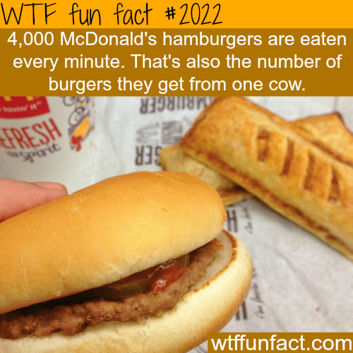 How many hamburgers does McDonald’s sell every minute - WTF fun facts