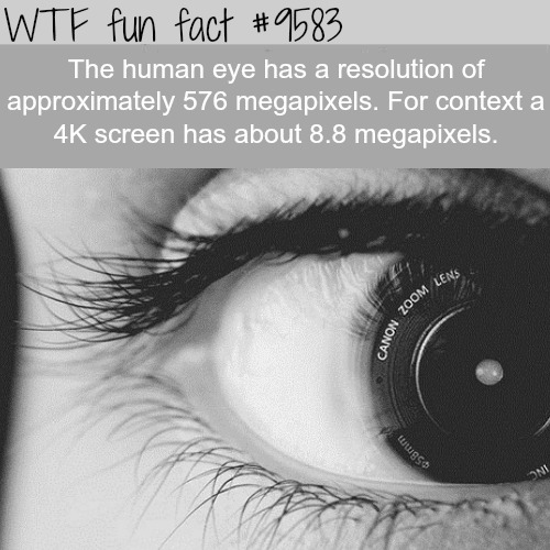 How many megapixels is the human eye - WTF fun fact
