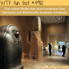 how many museums in the usa wtf fun facts