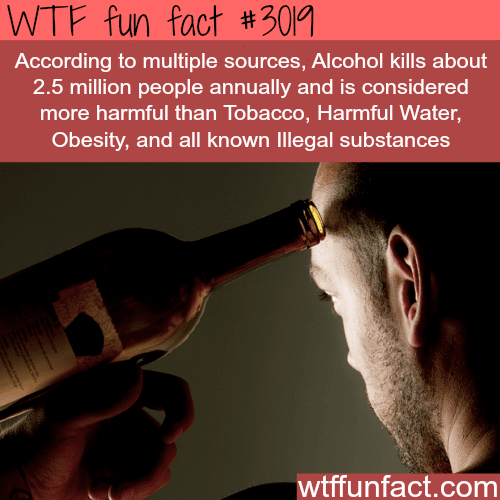 How many people Alcohol kills every year -  WTF fun facts