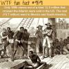 how many slaves came to the us wtf fun fact