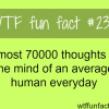 how many thoughts hit the mind each day