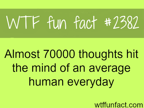 How many thoughts hit the mind each day? - WTF fun facts