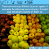 how many types of apples are there wtf fun