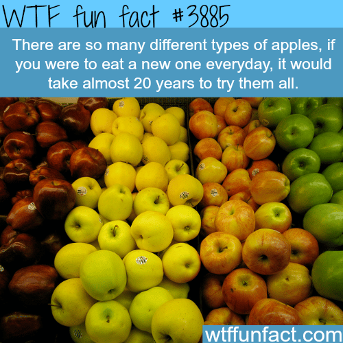 How many types of apples are there? - WTF fun facts
