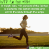 how most of the fat leaves the body wtf fun