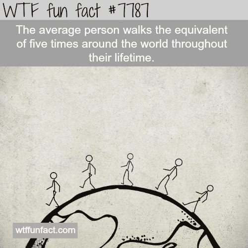 How much does the average person walk in their life time - WTF fun facts