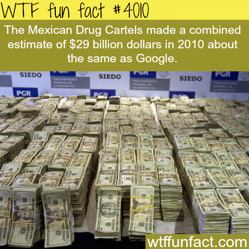 How much does the Mexican Drug Cartels make - WTF fun facts