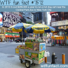 how much it cost to run a hot dog car in nyc