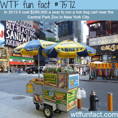 How much it cost to run a hot dog car in NYC? - WTF fun facts