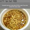 how much it would cost you to eat ramen everyday