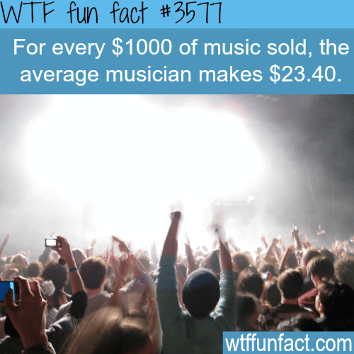 How much money do musicians make -  WTF fun facts