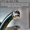 how much water a leaky faucet wastes wtf fun