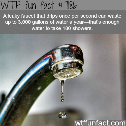How much water a leaky faucet wastes - WTF Fun Fact