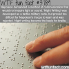 how napoleon contribution helped create braille