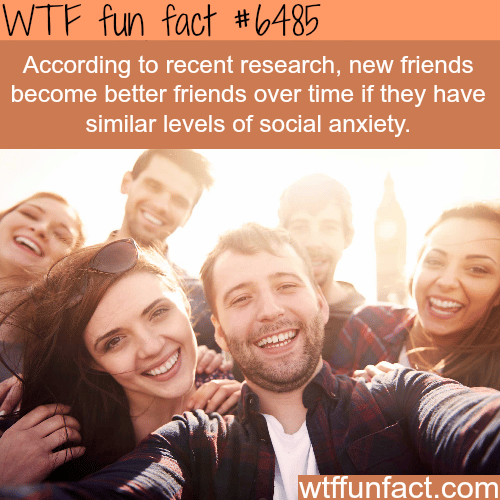 How new friends become best friends - WTF fun facts