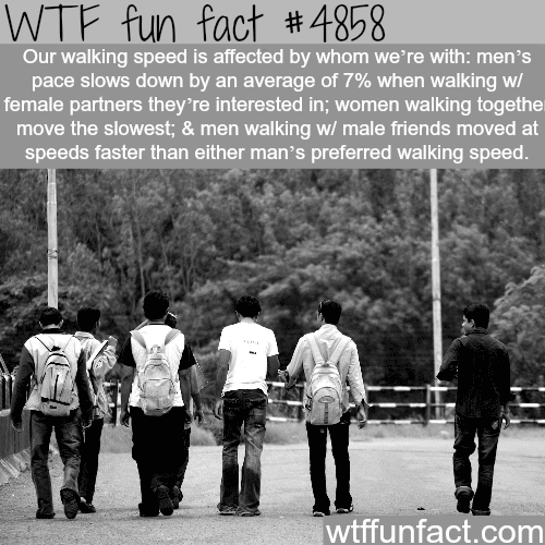 How our walking speed is determined - WTF fun facts