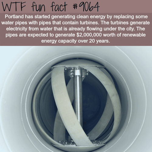 How Portland is saving money on energy - WTF fun facts