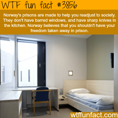How prisons in Norway look like - WTF fun facts 